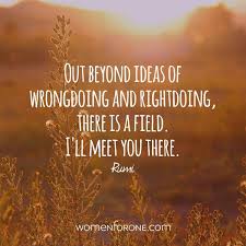 Out Beyond The Ideas Of Wrongdoing And Rightdoing There Is A Field I Ll Meet You There Rumi Cafe Quotes Rumi Quotes Rumi