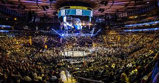 Veracious Ufc 205 Seating Chart Msg Seating Chart For Ufc