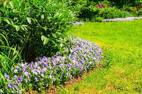 Keeping your lawn green and healthy during the hot days of summer begins with properly caring for lawns in spring. Preparing For Spring Lawn Care Lawn Care Tips