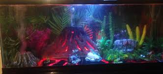 Suite themes include the lion king, cars, and finding nemo. Photo 12 This Is My Jurassic Park Theme Checkout Many Mo