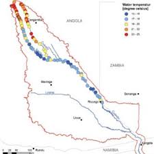 Image result for Crabbea kaessneri