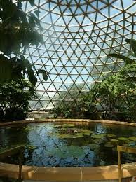 Brisbane Botanic Gardens Mt Coot Tha Botanical Gardens Brisbane Brisbane Queensland