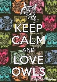 Check spelling or type a new query. 150 Owl Kitchen Ideas Owl Kitchen Owl Owl Decor