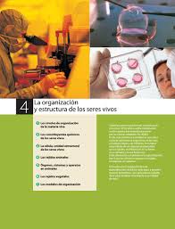 En esta cápsula describo el tema de los bioelementos, su clasificación, funciones e importancia para los seres vivos (recorded with. Material De Apoyo Para La Unidad 2 De Ciencias Naturales De Quinto Basico By Daniela Vera Ojeda Issuu