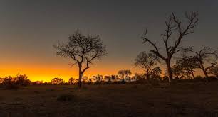 See more ideas about africa, africa travel, scenery. Scenic View Of Majestic African Landscape At Sunset Trees Traveling Stock Photo 230008576