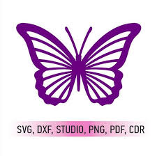 Download Pin On Butterflies Of Different Materials PSD Mockup Templates