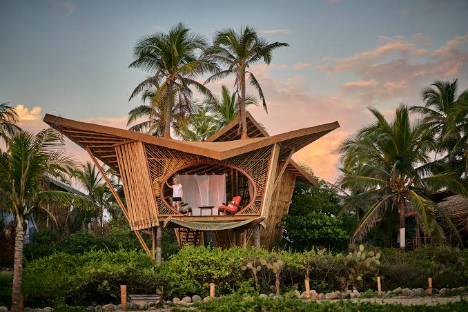 Bamboo Treehouses at Playa Viva / Atelier Nomadic | ArchDaily