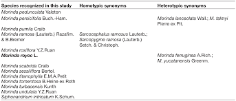 Image result for Morinda angolensis