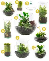 Artificial Terrarium Gift For Mom Succulent Terrarium Garden Terrarium Mini Garden