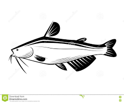 Logo memancing memancing vektor vektor biru ikan gambar png. Inspirasi Terbaru 40 Gambar Ikan Patin Vector