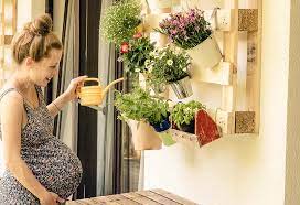 Check spelling or type a new query. Can You Do Gardening When Pregnant