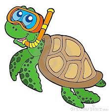 Cartoon Turtle Stock Photos Images Amp Pictures 4 736 Images Cartoon Turtle Sea Turtle Cute Turtles We are reptile enthusiasts, we know a lot about lizards, snakes, turtles, tortoises, crocodiles, alligators and all sorts of scaly & misunderstood creatures. cartoon turtle stock photos images