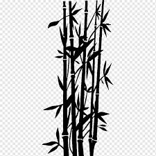 Bambus Illustration Wandtattoo Aufkleber Tropischen Holzigen Bambus Bambus Bambus Bambussprossen Schwarz Und Weiss Png Pngwing