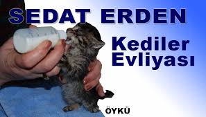 Kediler Evliyasi Sedat Erden