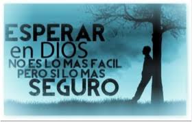 Tiempo de plantar, y tiempo de arrancar lo plantado; Todo Tiene Su Tiempo Por Que Apresurarse Temas Y Devocionales Cristianos