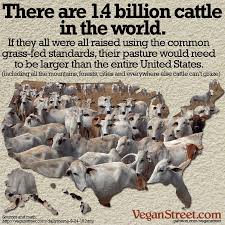 This Meme Is For Everyone Who Is Perpetuating The Myth That Grass Fed Cattle Are Good For The Environment Htt Animal Agriculture Vegan Animals Oh The Humanity