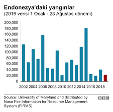 Türkiye'de orman yangınları grafiği 2020. Orman Yanginlari 2019 Dunyanin Gordugu En Kotu Yil Mi Oldu
