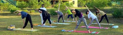 Check spelling or type a new query. Yoga Retreat For Beginners Best Yoga Retreat In India For Beginners