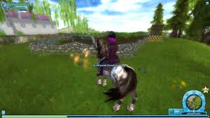 These can be found at silverglade village, fort pinta, as well as jarlaheim. Star Stable Datenbank