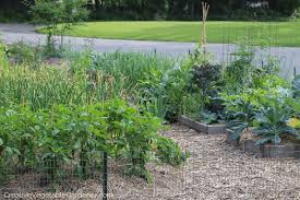 Check spelling or type a new query. Creative Vegetable Gardener How To Easily And Quickly Prep Your Garden Beds For Planting Creative Vegetable Gardener