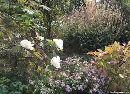 Maybe you would like to learn more about one of these? Berlingarten Der Film Berlingarten