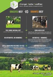Grain Fed Beef Vs Grass Fed Beef Seeking The Truth About Food Grass Fed Beef Grass Fed Meat Natural Health Supplements