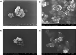 It is thus well established that essential oil. Citrus Peel Essential Oil Nanoformulations To Control The Tomato Borer Tuta Absoluta Chemical Properties And Biological Activity Scientific Reports
