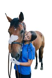 At healthy pets animal hospital our primary task is to encourage the pet family bond by maintaining the highest standards in veterinary medicine. Home Al Rawdah Veterinary Clinic
