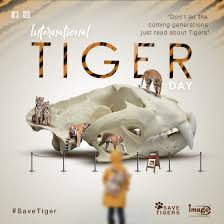 By saying no to products made out of forest resources like trees, woods, we can discourage the. International Tiger Day Image Creative Education Facebook