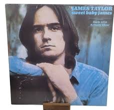 Damon Wild & Tim Taylor