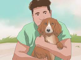 You'll also learn all about potty training and fixing 11 common dog behavioral problems How To Train Your Dog To Not Run Away With Pictures Wikihow