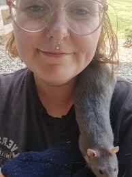 Hello, Looking for someone who can help with animals in attic. Not sure if  they are squirrels or my worst fear rats and how they're getting in and out  but I want