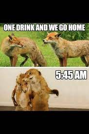 Pin On All Types Of Funny Pictures Funny Memes Funny Jokes