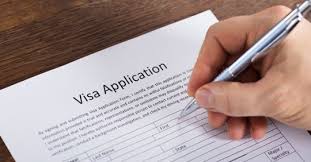 Breaking Down Individual Temporary Visas
