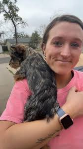 Lost dog found in Lubbock backyard, owner search