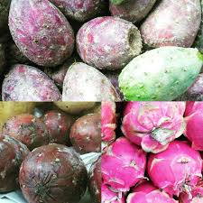 I don't recommend eating more than two or three prickly pears at a time because too many at one time can hurt your stomach. Margret Hefner On Instagram Three Cactus Fruits That Originate In Mexico Tuna Pitaya And Dragon Fruit Different Fruits And Vegetables Dragon Fruit Pitaya