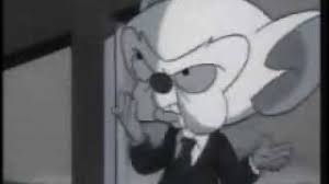 This wonderful bit of animation history, along with sailor moon and pokemon, came into my welcoming good is the boxset, yes! Pinky And The Brain Brain Falls In Love And Denies World Domination Youtube