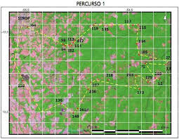 Ejercicios matematicas 1ro de secundaria. Paco El Chato Secundaria Libros De Matematicas 1 Grado Carlos Bosch Ana Meda Claudia Gomez Todos Por Un Isla Mejor Todos Tipos De Musica Pages Directory Receh