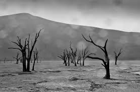 The rains have been coming down all over namibia throughout january of 2021. Geolog Imaggeo On Mondays Rain On The Namib Desert