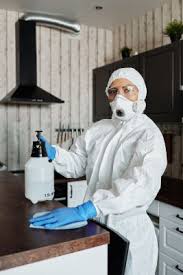 Once a young flea has first hatched, they must find a host quickly if they are to survive. How Long Do Fleas Live In Your House Is It Long Feline Follower