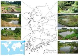 No matter what type of pest problem you have, our pest control services are guaranteed to eliminate your pest problem the. Sustainability Free Full Text Traditional Medicine Analysis And Sustainable Use Of Korean Pond Wetland Plants In The Agricultural Landscape Html