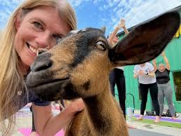 Goat Yoga at North Carolina Brewery Was A Great Adventure