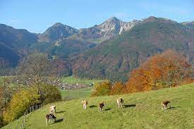 Erleben sie oberbayern auch im winter! Landliche Entwicklung Schutzt Landschaft Und Ressourcen In Oberbayern Stmelf