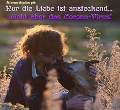 Katzendame harakiri möchte gern zu einem kater. Hundetraume Werden Wahr E V Zuhause Gesucht