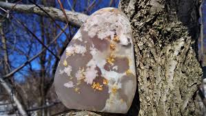 Stunning Flower Agate Polished Free Form Display Specimen Etsy Fertility Crystals Meditation Crystals Divine Feminine