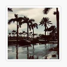 The point furthest from the point of attachment. Palm Trees Tumblr Stickers Redbubble
