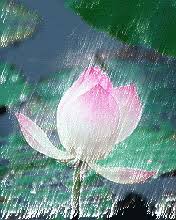 Kết quả hình ảnh cho vầng trăng ai xẻ làm đôi images