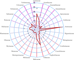 Image result for Scepocarpus hypselodendron