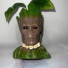 Buy Bougainvillea Variegated Bonsai Tree 10 Years Old Online in India