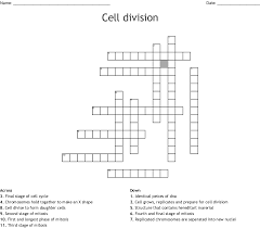 The length of the cell cycle can be controlled, and data related to the number of cells present and their current phase can be recorded. Cell Division Crossword Wordmint